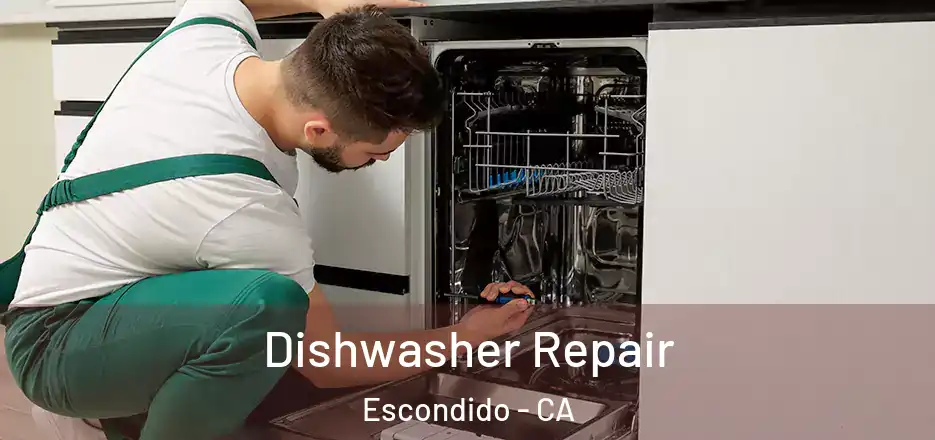  Dishwasher Repair Escondido - CA