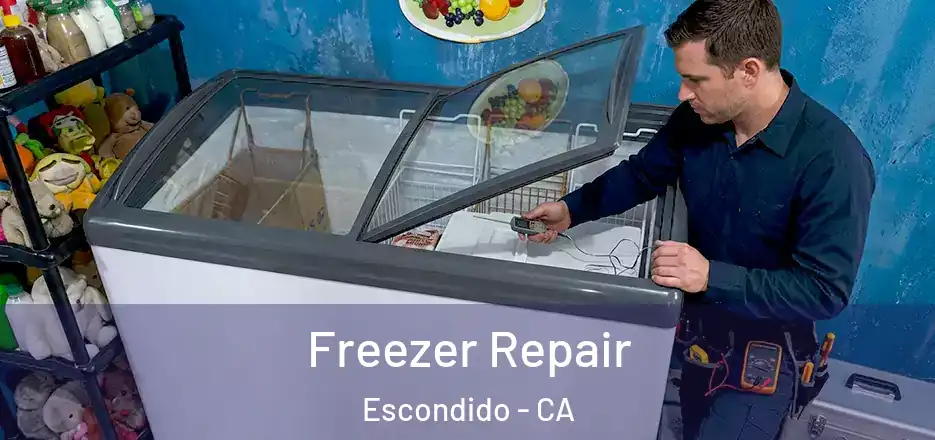  Freezer Repair Escondido - CA