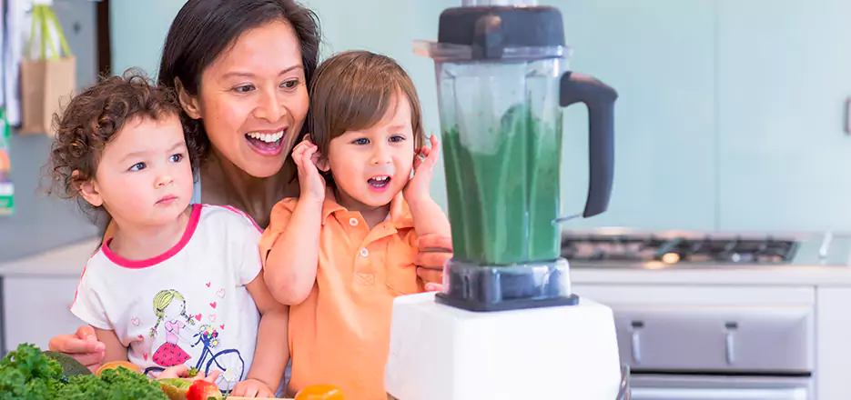 Juicer and Mixer Blender Repair in Escondido 