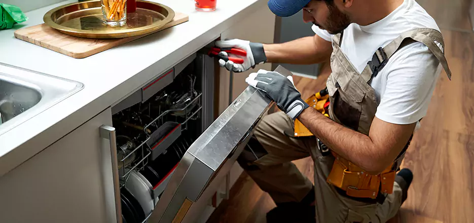 Same Day Dishwasher Not Draining Repair in Escondido