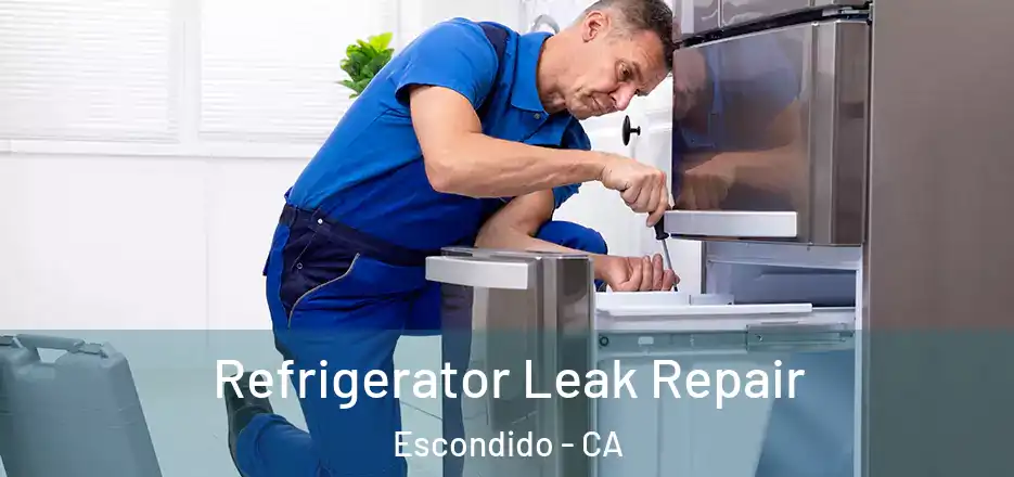 Refrigerator Leak Repair Escondido - CA